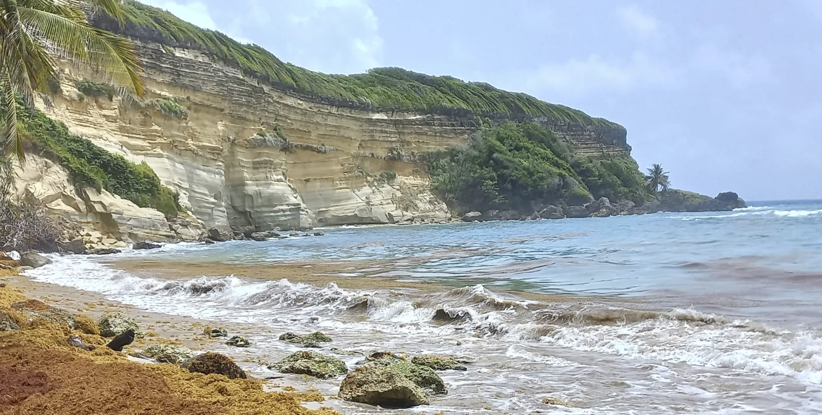 Dramatic tropical coastline near Cabrera