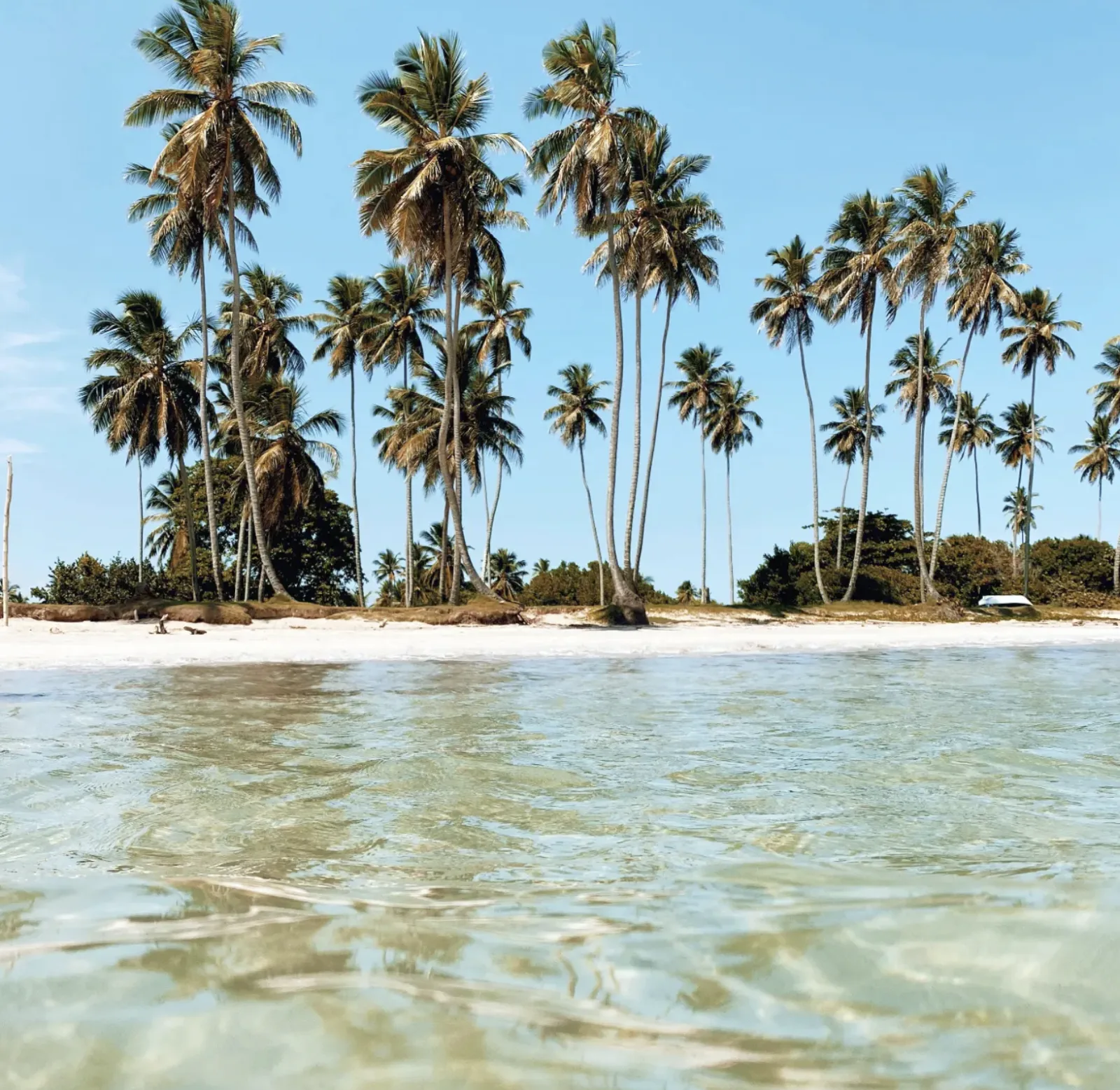 Playa Los Cocos